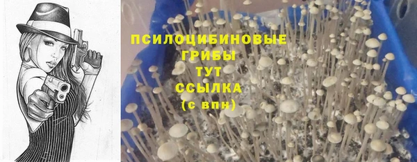 гашишное масло Киреевск